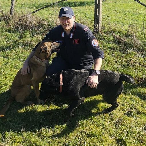 Due dei quattro cani salvati dai carabinieri forestali