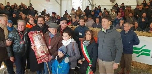 A Carrù torna la magia della Fiera Nazionale del Bue Grasso: ottanta i capi in mostra nella prima giornata di premiazione