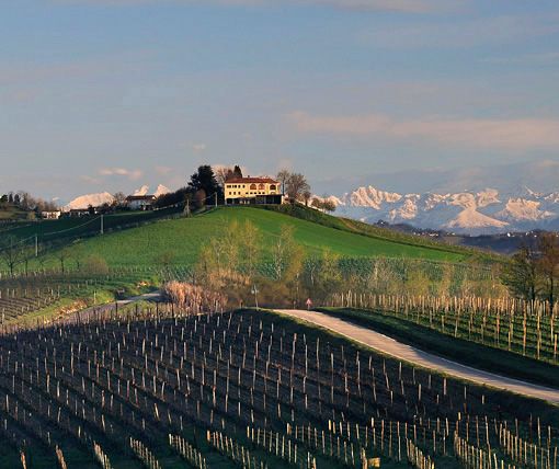 Castagnole delle Lanze (ph. G. Rivella)