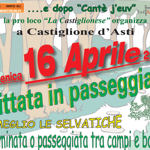 Domani a Castiglione d'Asti la &quot;Frittata in passeggiata&quot;
