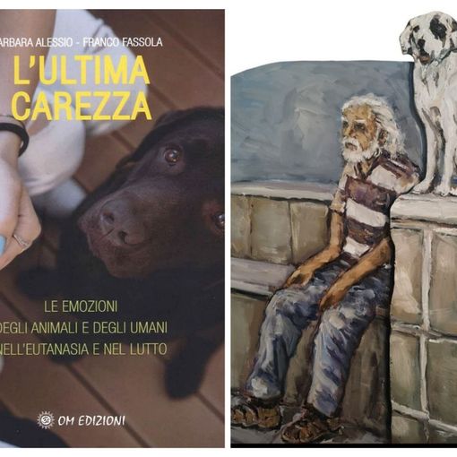 Collage tra la copertina del libro e l'opera che Paolo Viola ha realizzato per la presentazione
