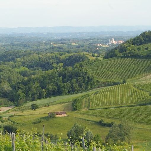 Colline di Albugnano