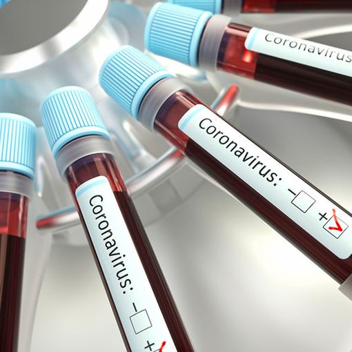 Emergenza Coronavirus: breve guida per aziende e lavoratori