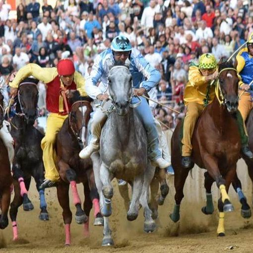 Palio 2019: tutti gli appuntamenti di Borghi e Rioni, aspettando domenica