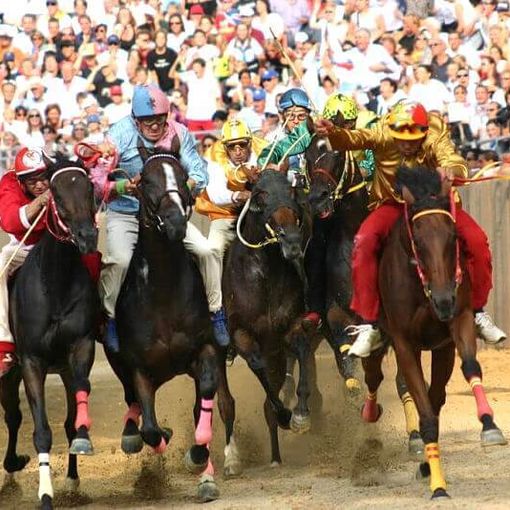 Palio di Asti e maltrattamento animali: assolti anche in Appello gli imputati