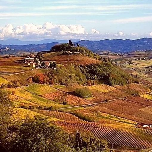 Costigliole d'Asti tra i vincitori del bando 'Simbiosi' della Compagnia di San Paolo