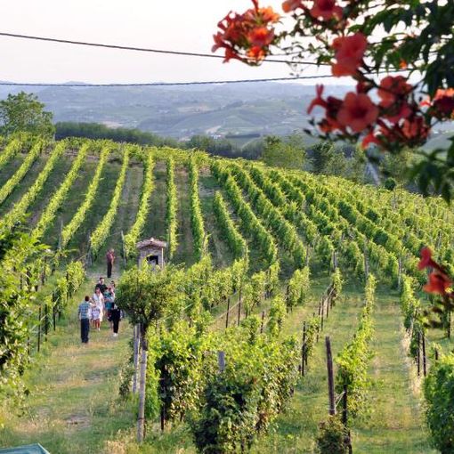 Continua lo “Storymoving Festival: Le Cascine e i Castelli”. Appuntamento domemica a Calamandrana