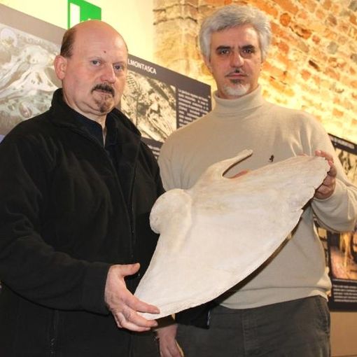 Bisconti e Damarco con una scapola di balenottera