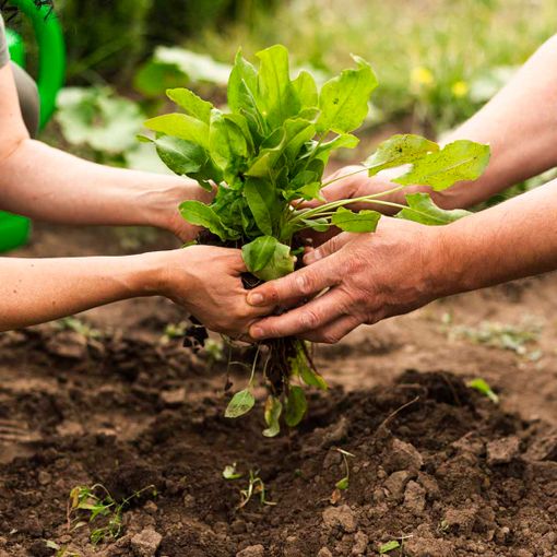 È ora di Comunità Sostenibile e Partecipazione
