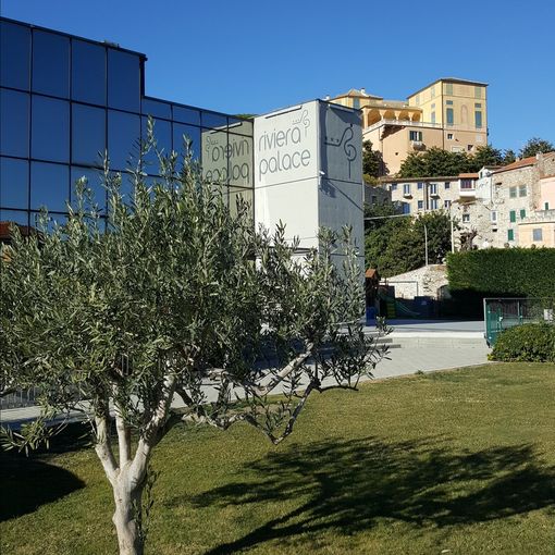 Asti: sotto un parcheggio per disabili la scritta &quot;Muori&quot; ferisce la cittadinanza
