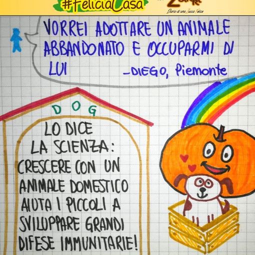 FavoleaCasa: Fata Zucchina legge e commenta &quot;il prezzo del cagnolino&quot;, racconto per l'anima