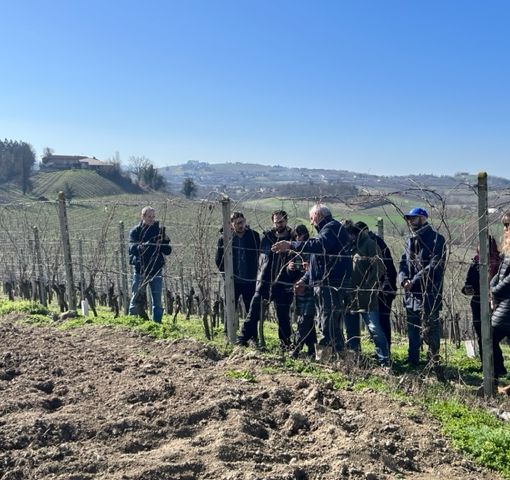 A Castagnole delle Lanze Festa della potatura e nuova stagione di &quot;Adotta un filare nelle Lanze&quot;
