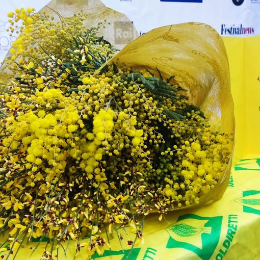 Il mazzo di fiori che è stato recapitato a Blanco