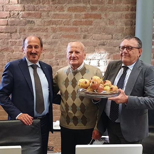 Melograni in regalo alla Banca d'Alba: sono il simbolo del Credito Cooperativo