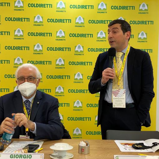 Calabrese e Furia