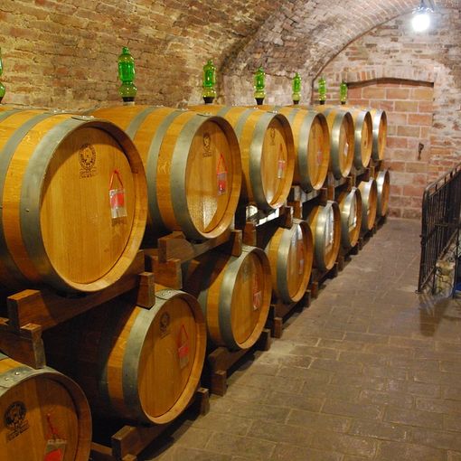 Una cantina vinicola