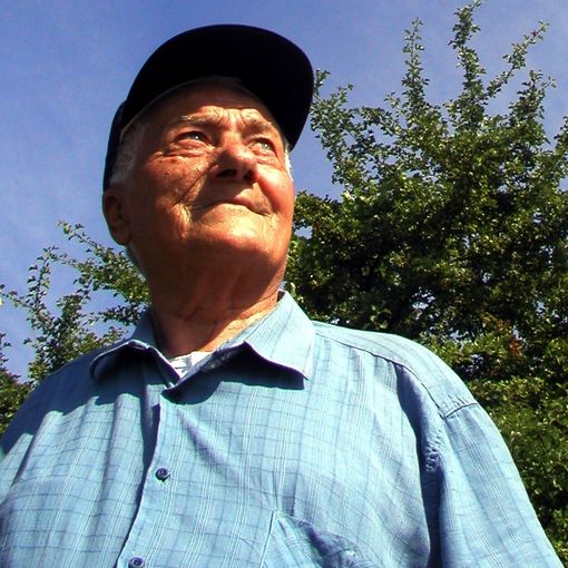 &quot;Omaggio all'uomo che piantava gli alberi&quot;. Una rassegna per ricordare Giovanni Giolito e il suo amore per la natura