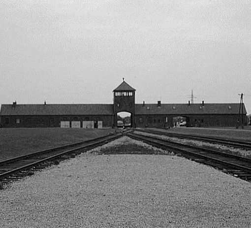 In occasione della Giornata della Memoria, lo spettacolo &quot;999 donne sopravvissute ad Auschwitz&quot;, di e con Fiorella Carpino