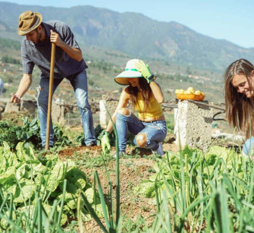 45 milioni per l’insediamento di giovani agricoltori in Piemonte. Confagricoltura: “Serve patto generazionale&quot;