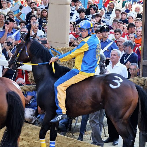 Tittia al Canapo nella scorsa edizione del Palio (Ph. Merfephoto - Efrem Zanchettin)