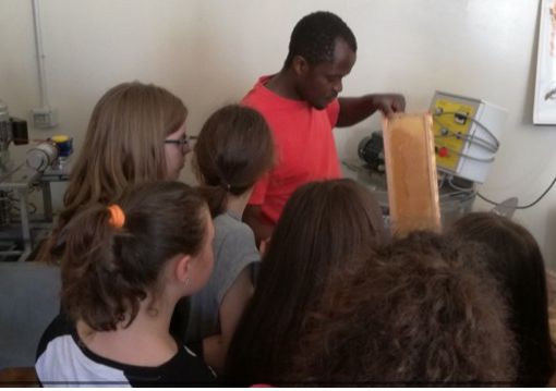 Il Laboratorio delle Api di Takumbo Takam Paulin – Az. Agricola Polyagrinova (Miele Bio)