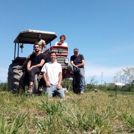 Azienda agricola &quot;Il cortile di Simone Artesi&quot;, Calliano