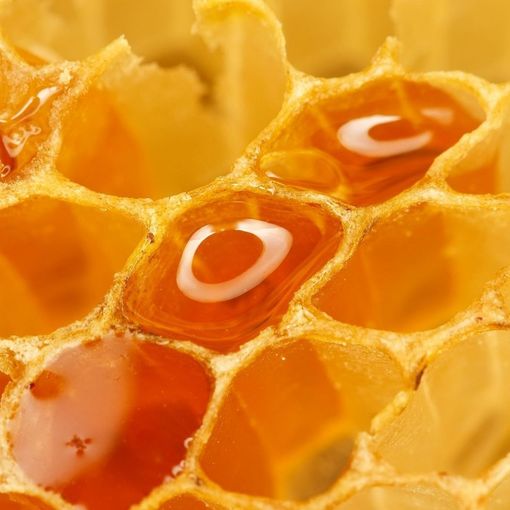 Vacanze nell’Astigiano dolci come il miele