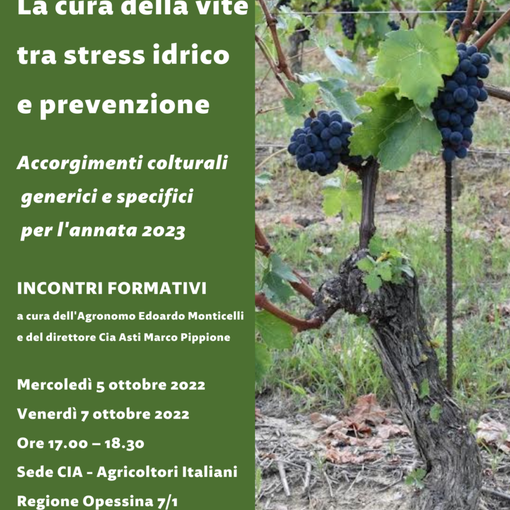 Al via un corso Cia sulla cura della vite tra stress idrico e prevenzione