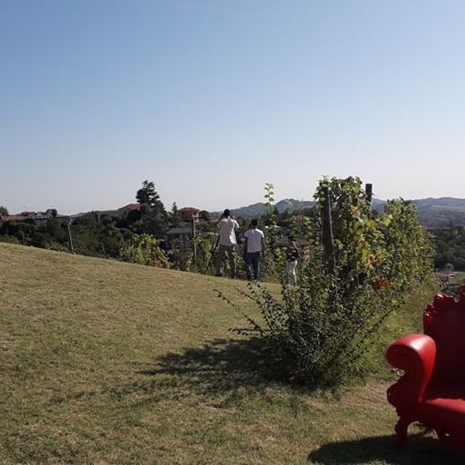 La Via del miele porta l’Astigiano in Rai, questa sera alle 20 al Tg1