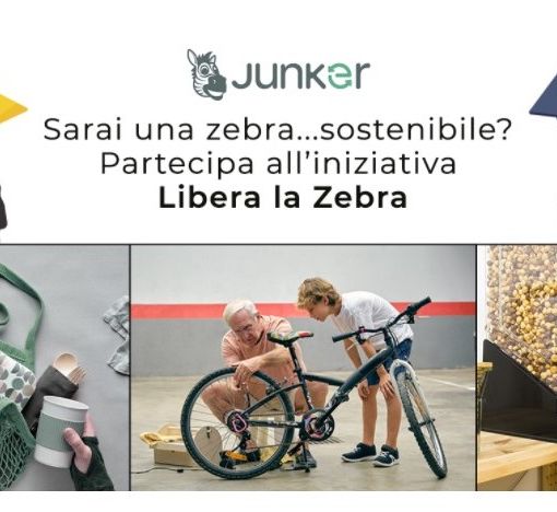 Un'immagine promozionale della Campagna &quot;Libera la zebra&quot;