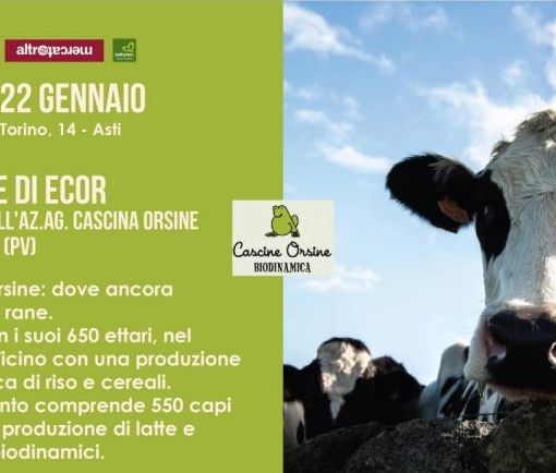 Locandina presentazione Cascine Orsine
