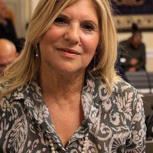 La consigliera del Partito Democratico Maria Ferlisi