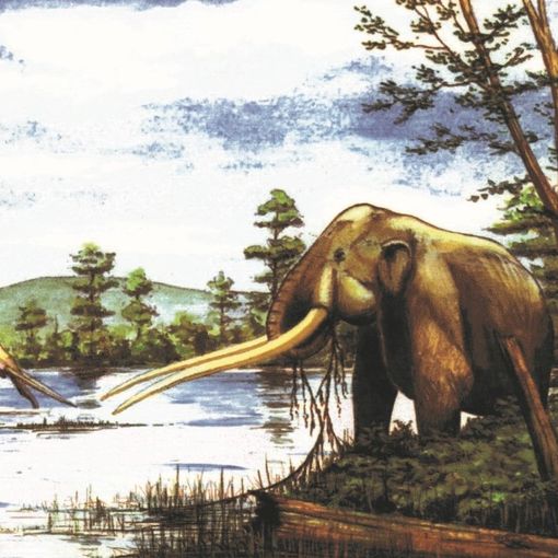 Mastodonte del Villafranchiano