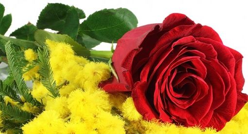 In occasione dell'8 marzo, tante iniziative ad Asti per celebrare la donna