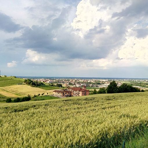 &quot;Fattore WOW&quot; e &quot;Comunicare il Monferrato&quot;: iniziano a breve i nuovi corsi organizzati da Sistema Monferrato e Confagricoltura Asti