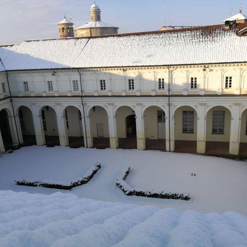 Il Natale è anche al Museo Paleontologico di Asti tra asinelli e fossili