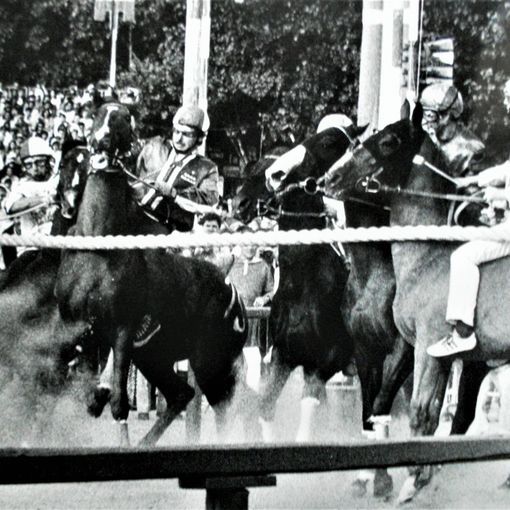 Foto Museo del Palio