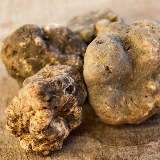 Tartufo, vino e sapori di autunno: ecco cosa fare nell'Astigiano in questo penultimo fine settimana