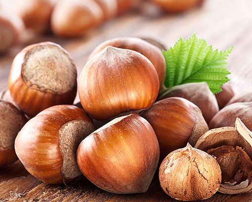 All'università di Asti il progetto di ricerca &quot;Nocciola di qualità&quot;