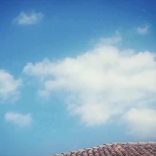 &quot;Storie dall'alveare&quot;, una favola al giorno per i vostri bambini. Oggi &quot;Nuvole di drago&quot;
