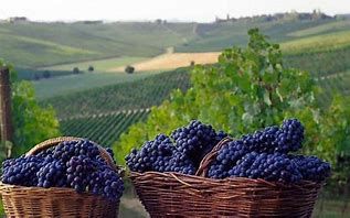 Il Piemonte porta le sue eccellenze a Bruxelles