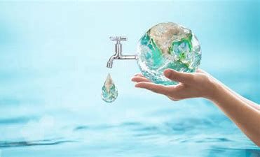 Migliora lo stato di salute dell’ambiente in Piemonte. Confagricoltura: “Forte impegno del settore primario per un territorio di qualità”