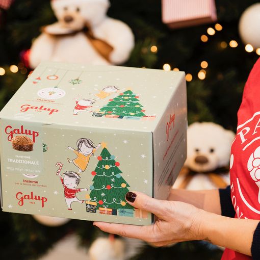 Panettone Galup per Fondazione Paideia: un Natale buono e solidale