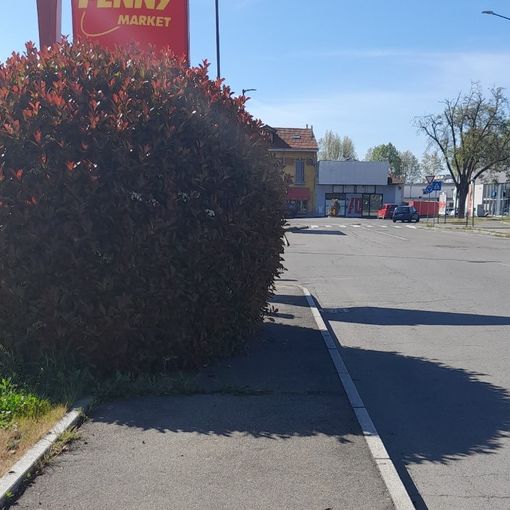 La siepe di via Monti che crea difficoltà al passaggio dei pedoni