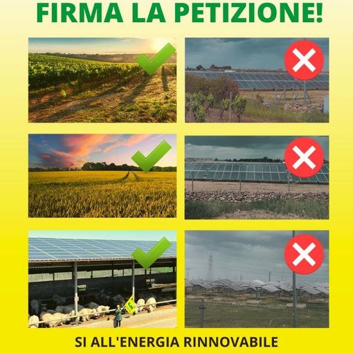Coldiretti: al via la petizione contro i pannelli “mangia suolo”