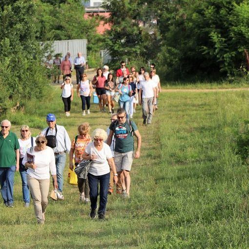 Un immagine della scorsa edizione del picnic