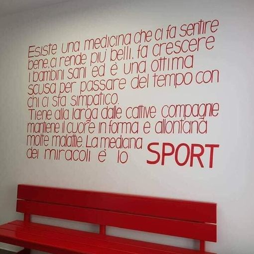 L'immagine con cui la professoressa Saracco ha accompagnato il testo del suo post