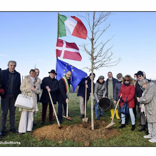 La prima quercia al Bosco degli astigiani