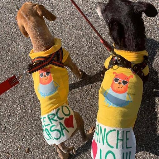 Una pagina Facebook per gestire l’emergenza animali rimasti soli in tempo di Covid-19