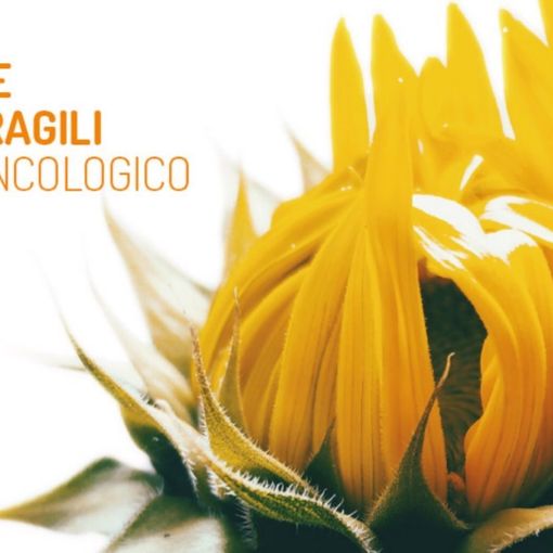Locandina della terza Giornata del Progetto Protezione Famiglie Fragili